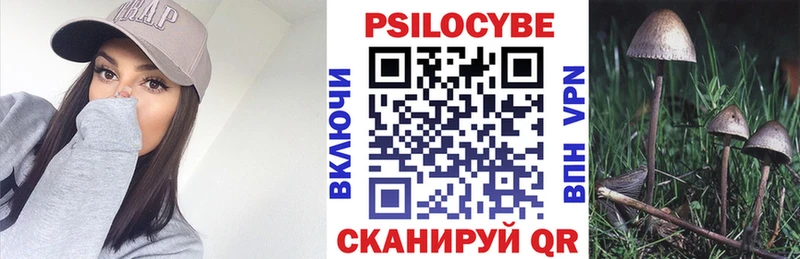 Галлюциногенные грибы Psilocybe  Купить  Красноперекопск 